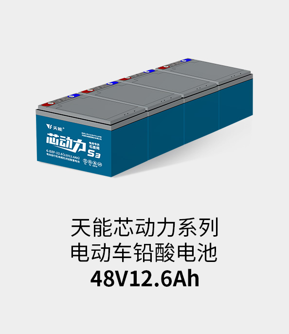 太阳集团tcy8722电池48v12ah