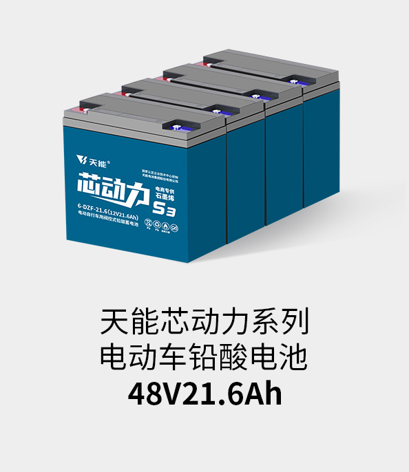 太阳集团tcy8722电池48v20ah