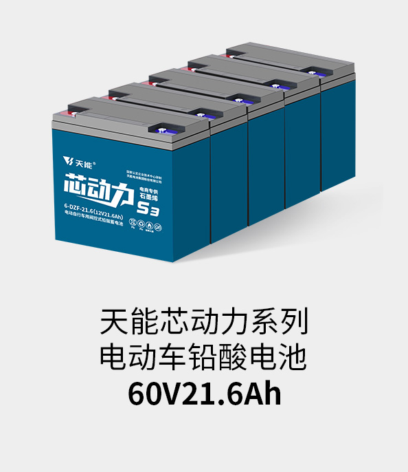 太阳集团tcy8722电池60v20ah