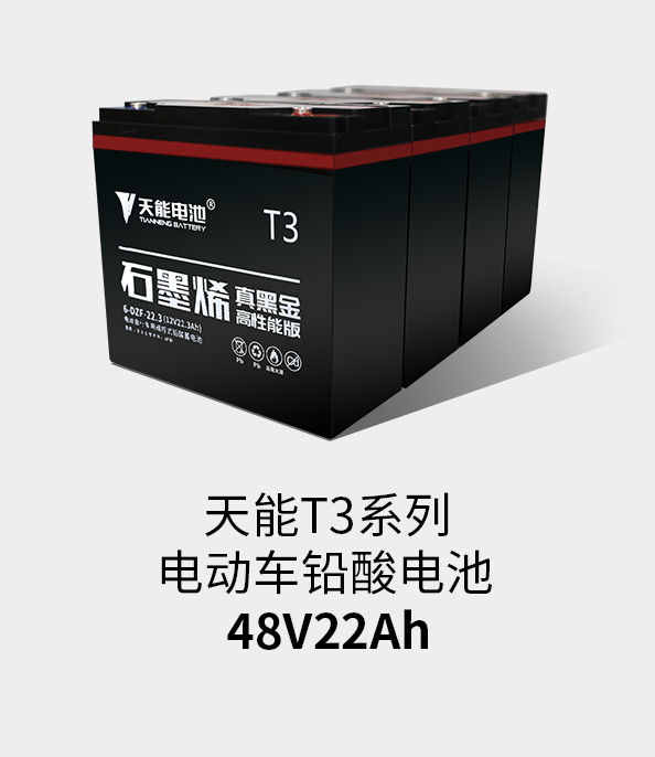 太阳集团tcy8722T3系列48v22ah