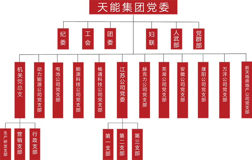太阳集团tcy8722建团党委组织架构